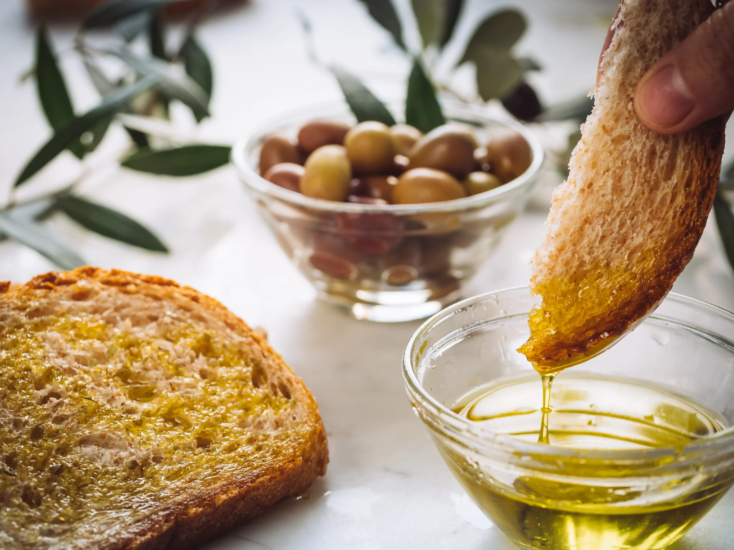 jak wybrać oliwę z oliwek taggiasca